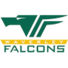 韦佛利猎隼女篮